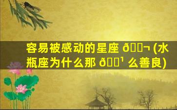 容易被感动的星座 🐬 (水瓶座为什么那 🌹 么善良)